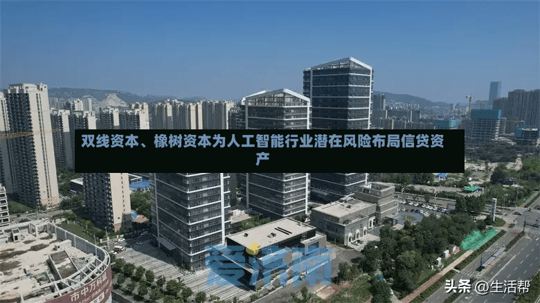 双线资本、橡树资本为人工智能行业潜在风险布局信贷资产
