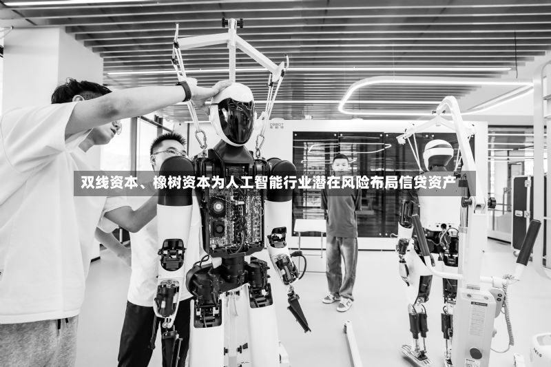 双线资本、橡树资本为人工智能行业潜在风险布局信贷资产-第3张图片