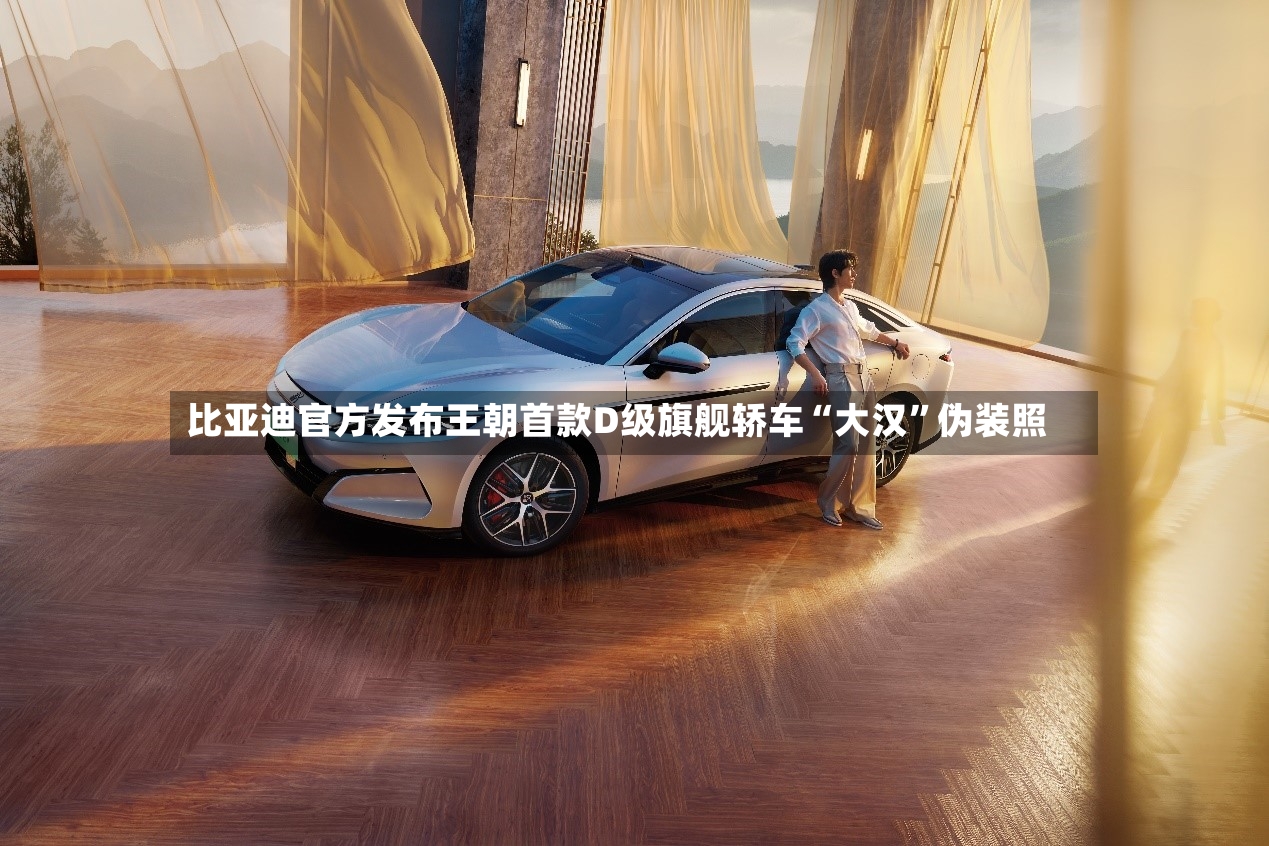 比亚迪官方发布王朝首款D级旗舰轿车“大汉”伪装照-第3张图片