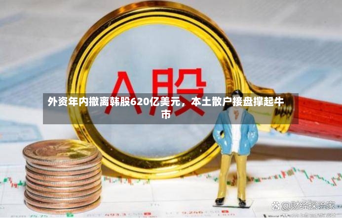 外资年内撤离韩股620亿美元，本土散户接盘撑起牛市-第2张图片