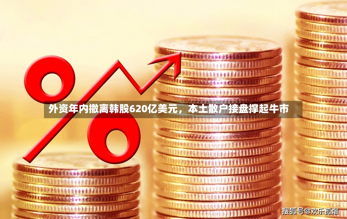 外资年内撤离韩股620亿美元，本土散户接盘撑起牛市-第3张图片