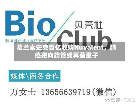 葛兰素史克百亿收购Nuvalent，肺癌靶向药管线再落重子-第3张图片