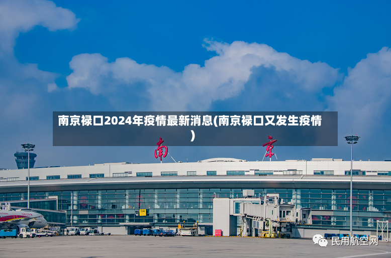 南京禄口2024年疫情最新消息(南京禄口又发生疫情)-第3张图片