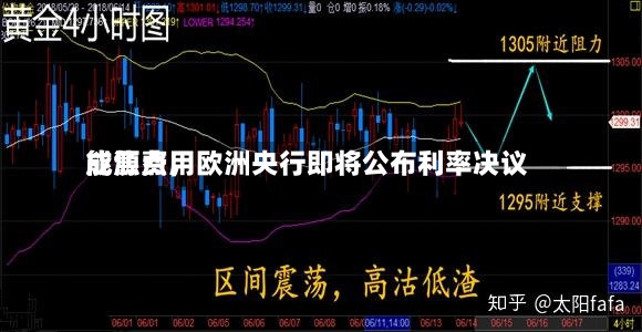 能源费用成焦点，欧洲央行即将公布利率决议-第2张图片