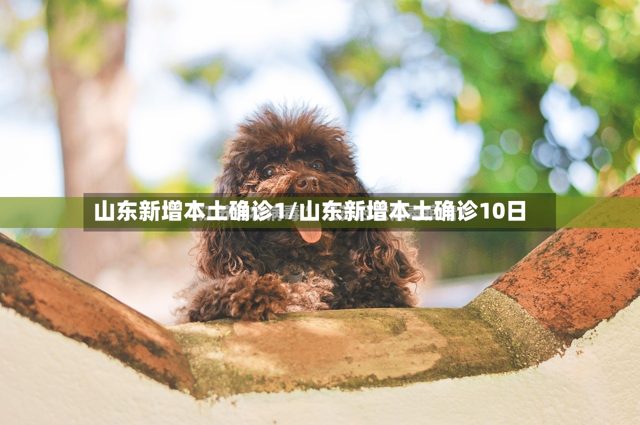 山东新增本土确诊1/山东新增本土确诊10日