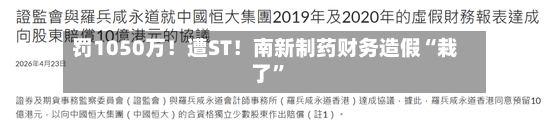 罚1050万！遭ST！南新制药财务造假“栽了”-第2张图片