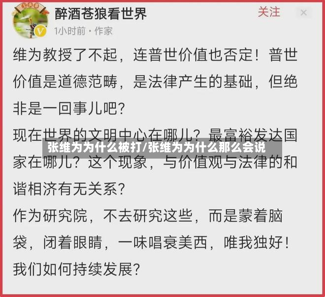 张维为为什么被打/张维为为什么那么会说
