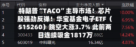 特朗普“TACO”主导市场！芯片股强劲反弹！华宝基金电子ETF（515260）跳空大涨3.7% 此前两日连续吸金1817万-第3张图片