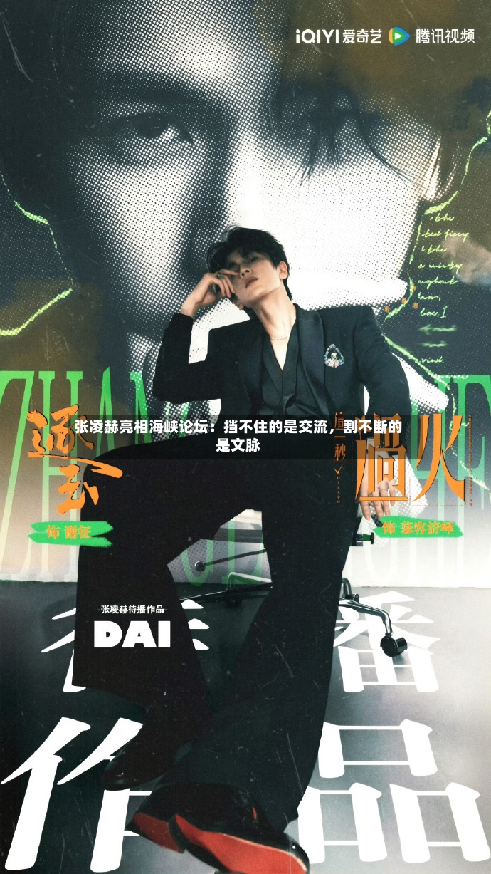 张凌赫亮相海峡论坛：挡不住的是交流，割不断的是文脉-第3张图片