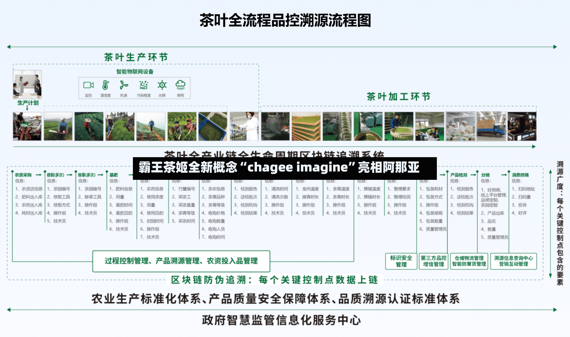 霸王茶姬全新概念“chagee imagine	”亮相阿那亚-第2张图片