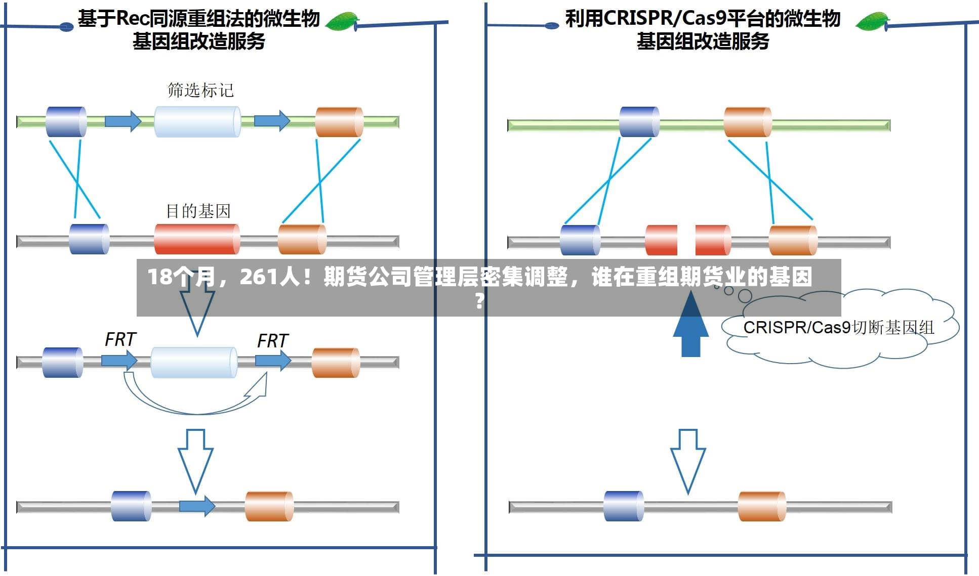18个月，261人！期货公司管理层密集调整	，谁在重组期货业的基因？-第3张图片