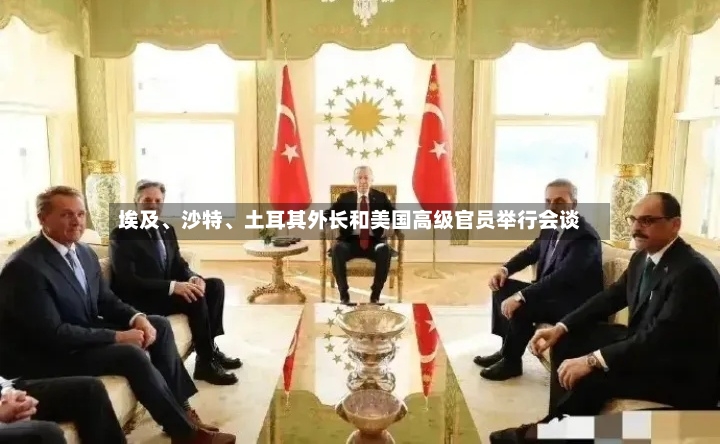 埃及、沙特	、土耳其外长和美国高级官员举行会谈-第2张图片
