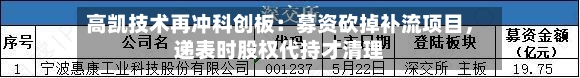 高凯技术再冲科创板：募资砍掉补流项目，递表时股权代持才清理-第2张图片