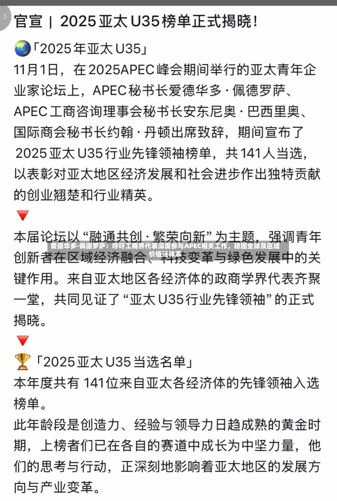 爱德华多·佩德罗萨：呼吁工商界代表深度参与APEC相关工作，稳固全球及区域价值链体系-第3张图片