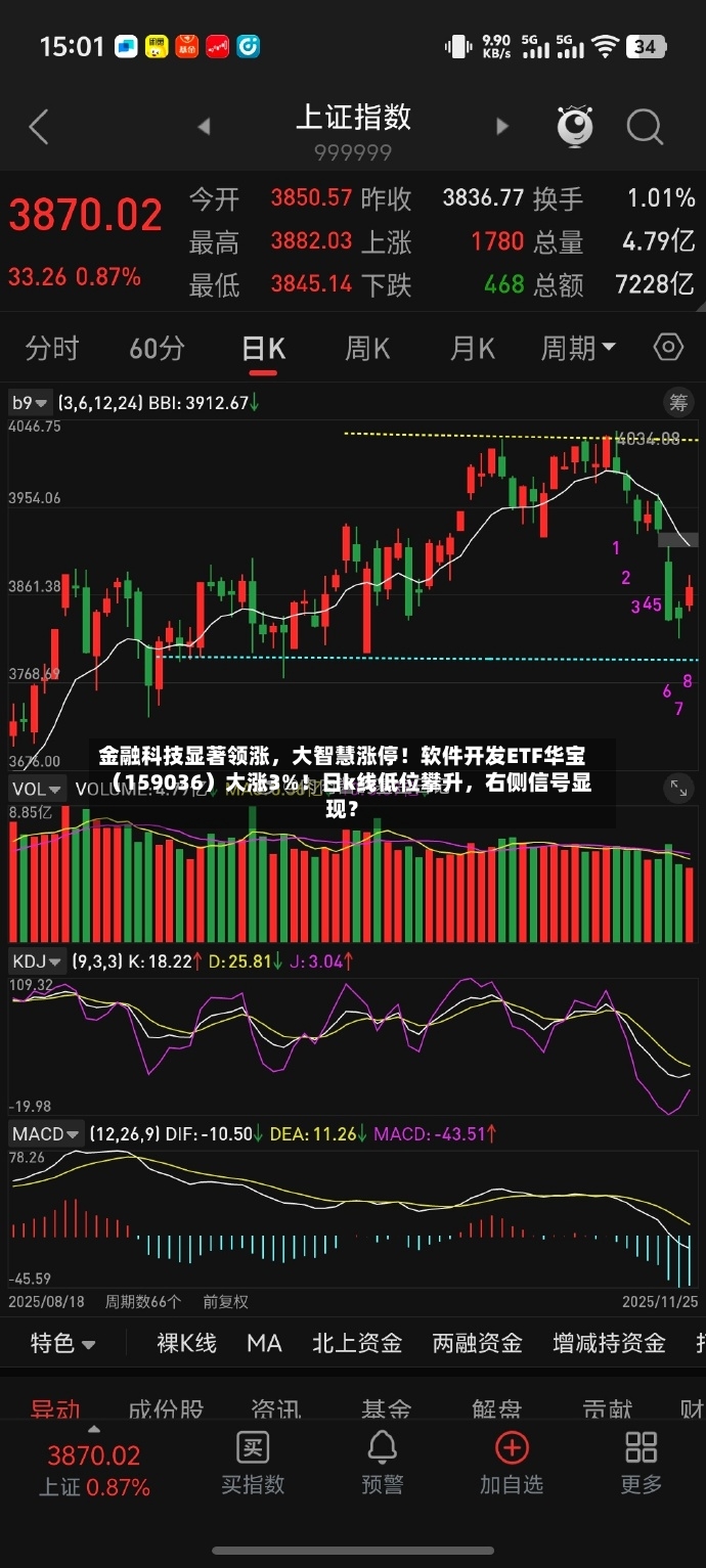 金融科技显著领涨，大智慧涨停！软件开发ETF华宝（159036）大涨3%！日k线低位攀升	，右侧信号显现？-第2张图片