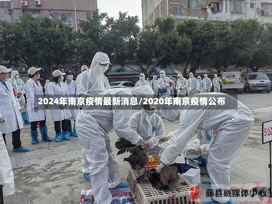 2024年南京疫情最新消息/2020年南京疫情公布
