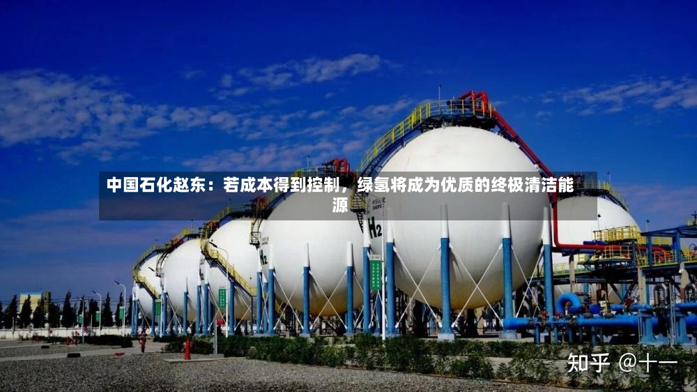 中国石化赵东：若成本得到控制，绿氢将成为优质的终极清洁能源-第2张图片