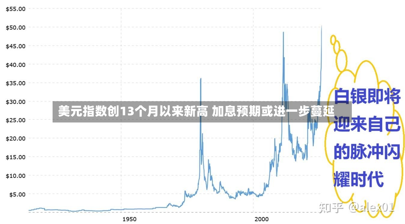 美元指数创13个月以来新高 加息预期或进一步蔓延
