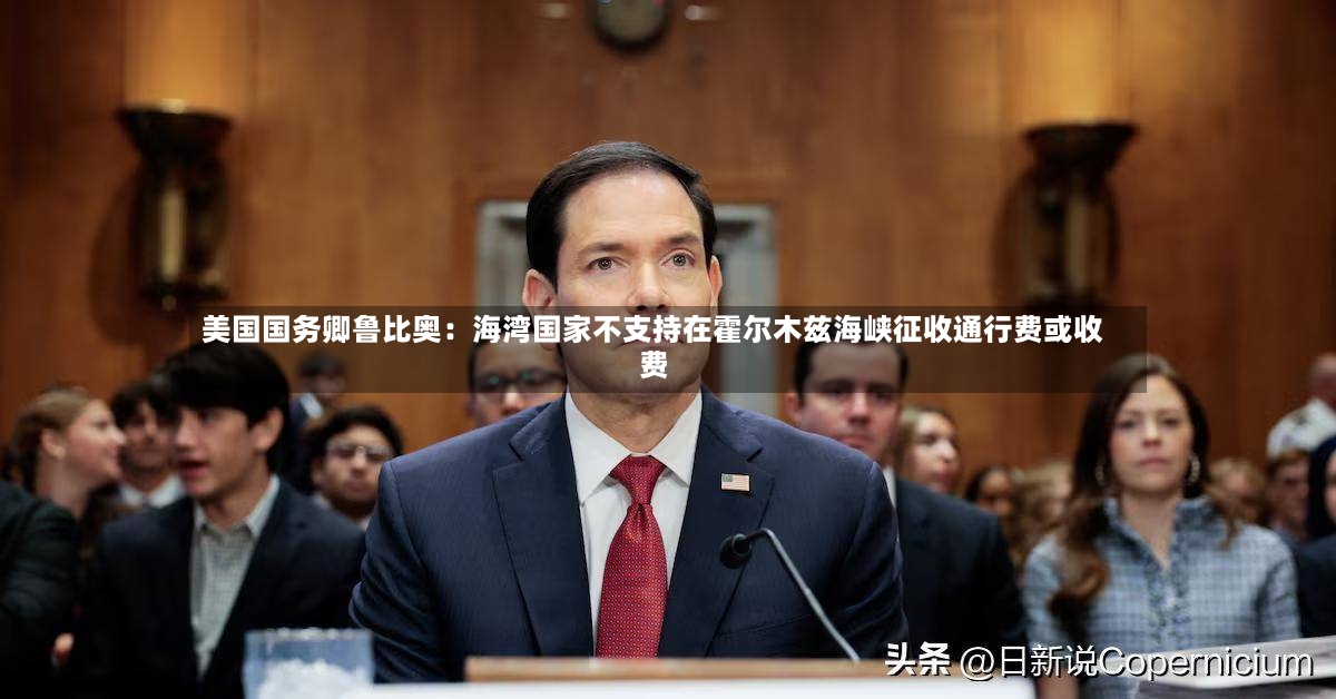 美国国务卿鲁比奥：海湾国家不支持在霍尔木兹海峡征收通行费或收费