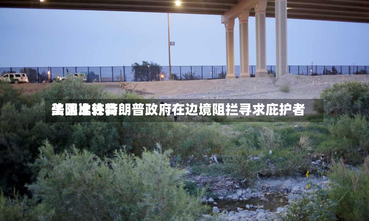 美国比较高
法院准许特朗普政府在边境阻拦寻求庇护者-第3张图片