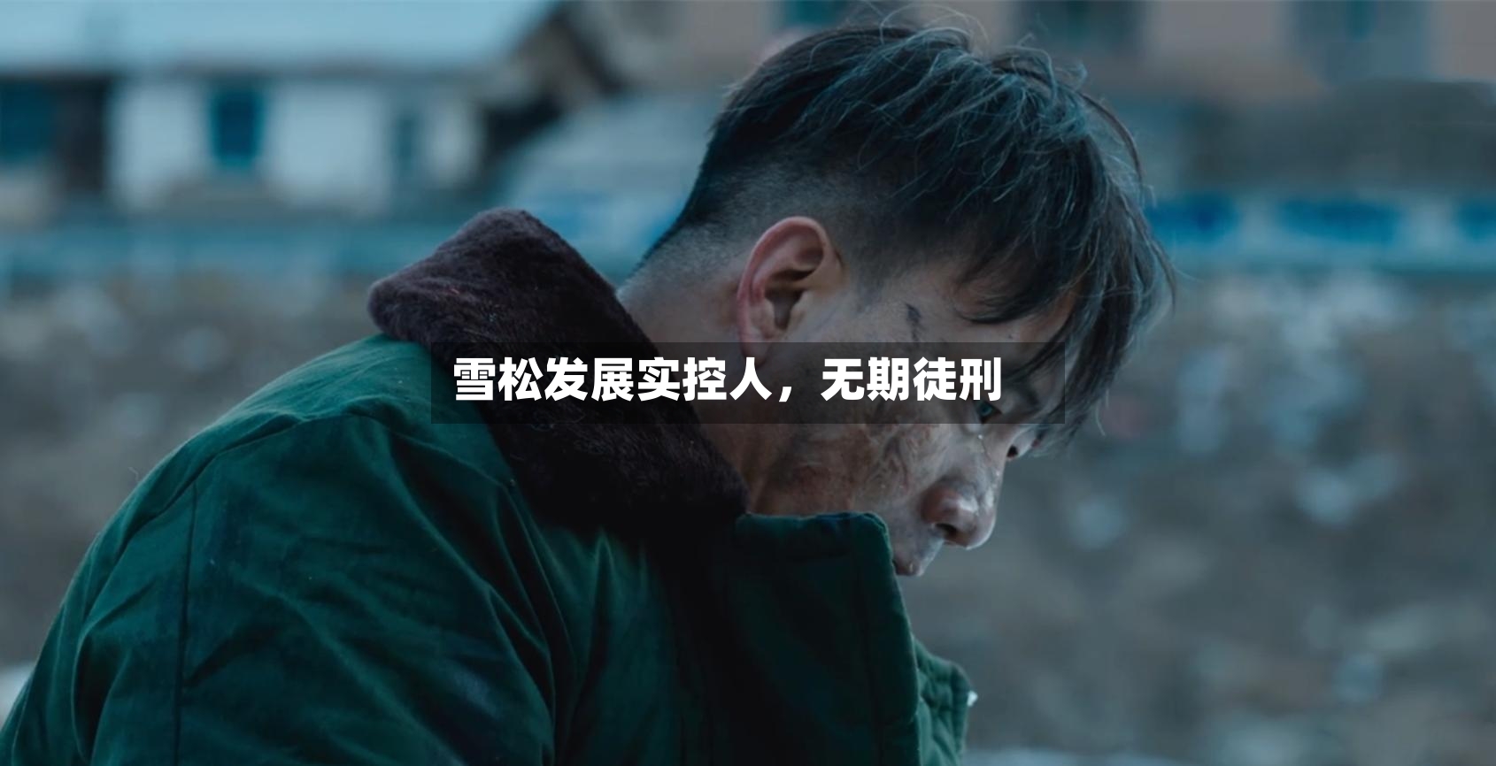雪松发展实控人，无期徒刑