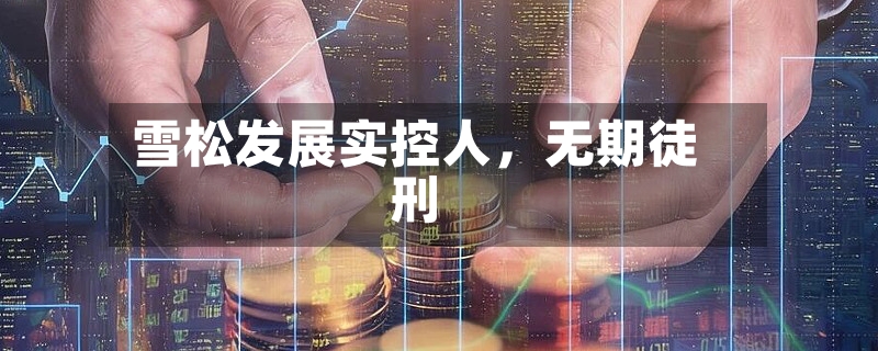 雪松发展实控人	，无期徒刑-第2张图片