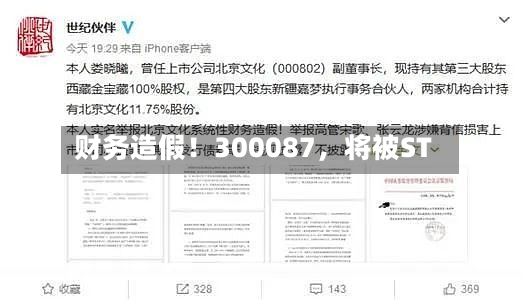 财务造假！300087，将被ST