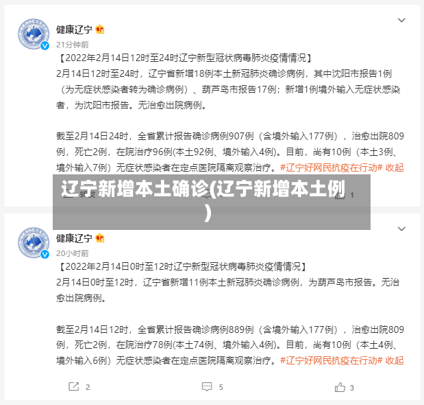 辽宁新增本土确诊(辽宁新增本土例)