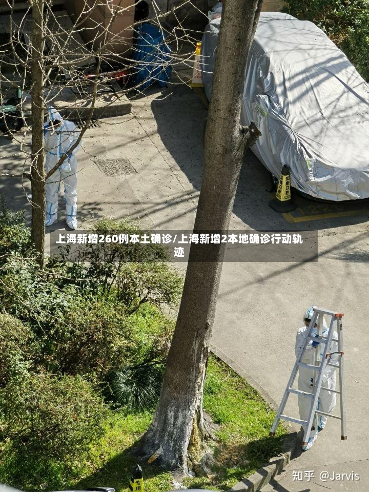 上海新增260例本土确诊/上海新增2本地确诊行动轨迹