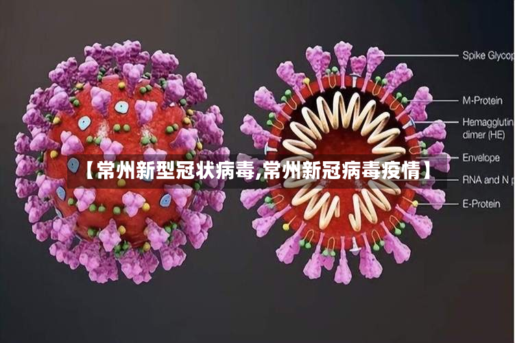 【常州新型冠状病毒,常州新冠病毒疫情】-第2张图片
