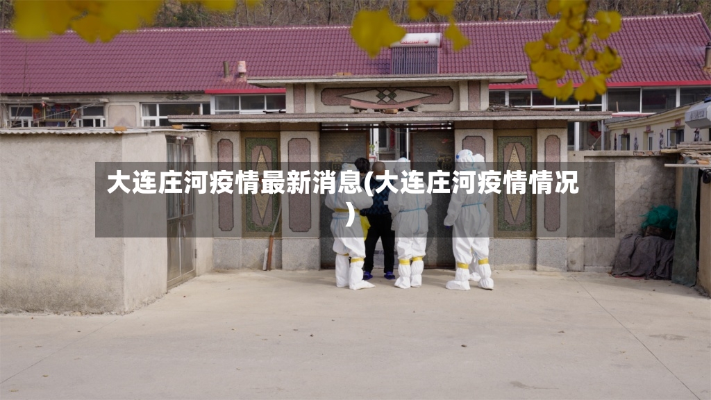 大连庄河疫情最新消息(大连庄河疫情情况)