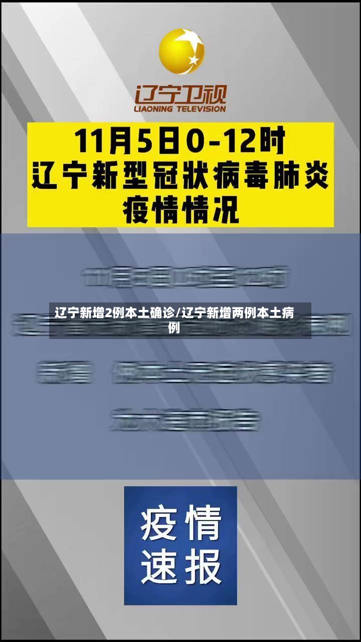 辽宁新增2例本土确诊/辽宁新增两例本土病例-第3张图片