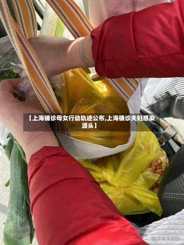 【上海确诊母女行动轨迹公布,上海确诊夫妇感染源头】-第3张图片