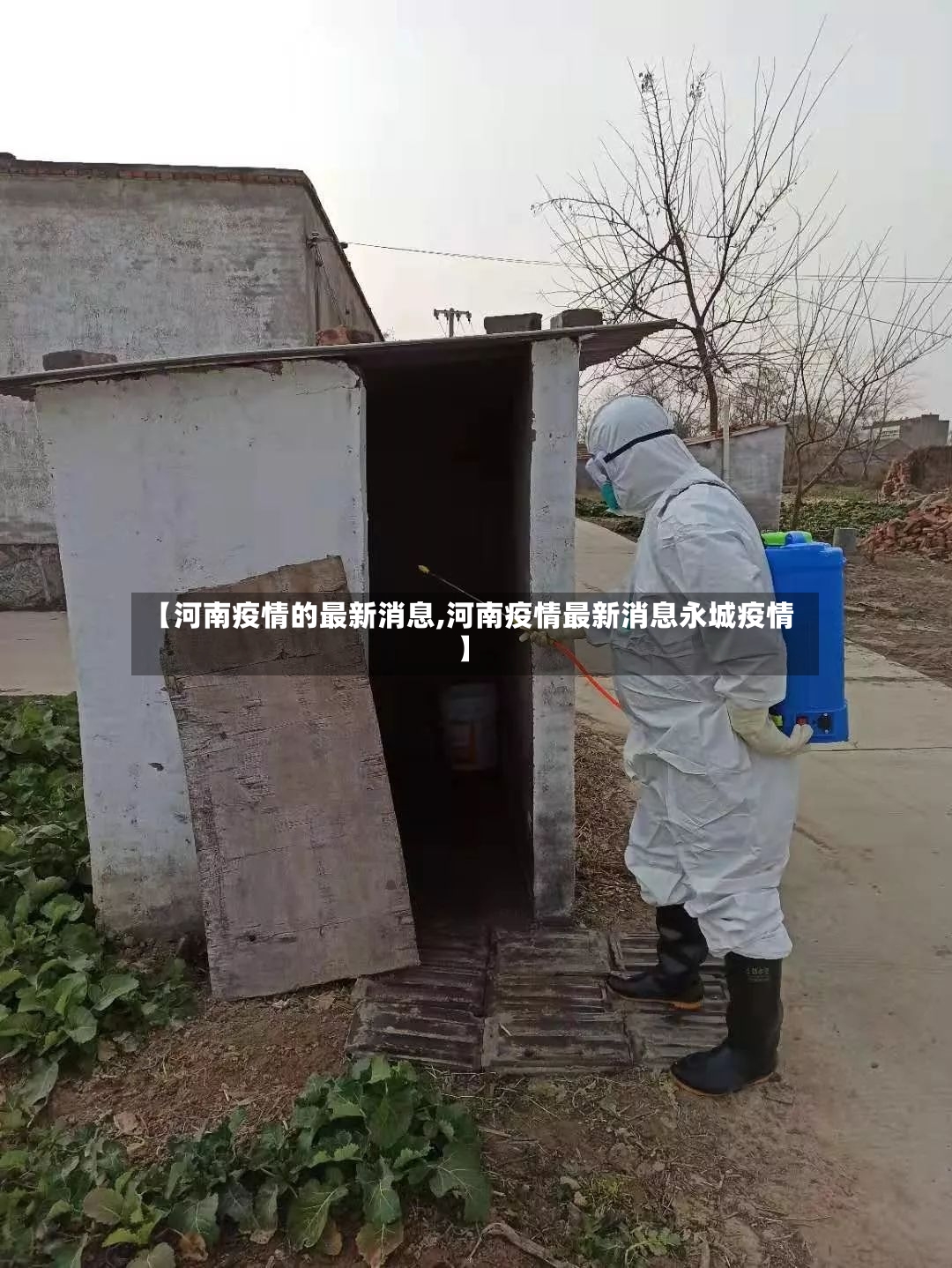 【河南疫情的最新消息,河南疫情最新消息永城疫情】-第2张图片