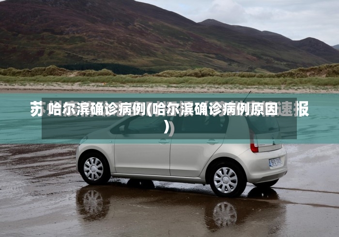 哈尔滨确诊病例(哈尔滨确诊病例原因)-第3张图片