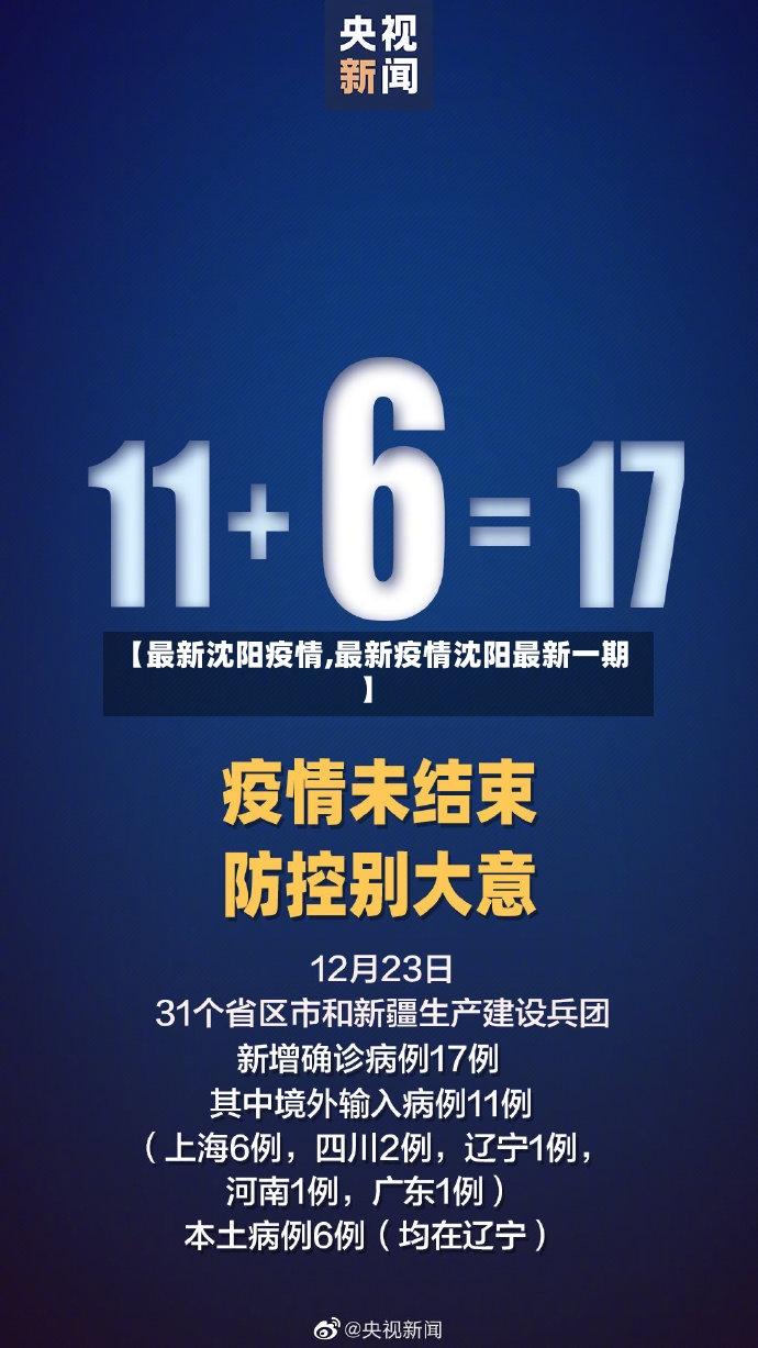 【最新沈阳疫情,最新疫情沈阳最新一期】-第3张图片