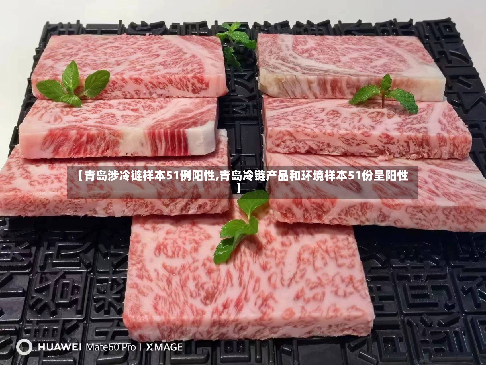【青岛涉冷链样本51例阳性,青岛冷链产品和环境样本51份呈阳性】