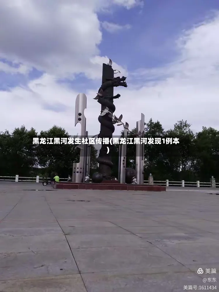 黑龙江黑河发生社区传播(黑龙江黑河发现1例本)