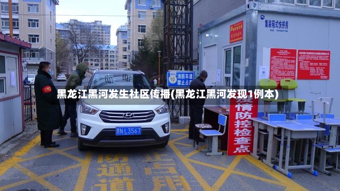 黑龙江黑河发生社区传播(黑龙江黑河发现1例本)-第3张图片