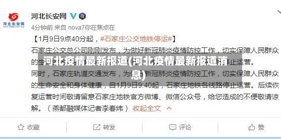河北疫情最新报道(河北疫情最新报道消息)-第2张图片