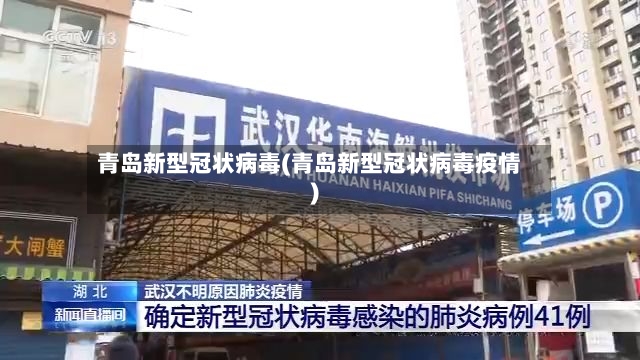 青岛新型冠状病毒(青岛新型冠状病毒疫情)-第2张图片