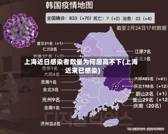 上海近日感染者数量为何居高不下(上海近来已感染)-第3张图片