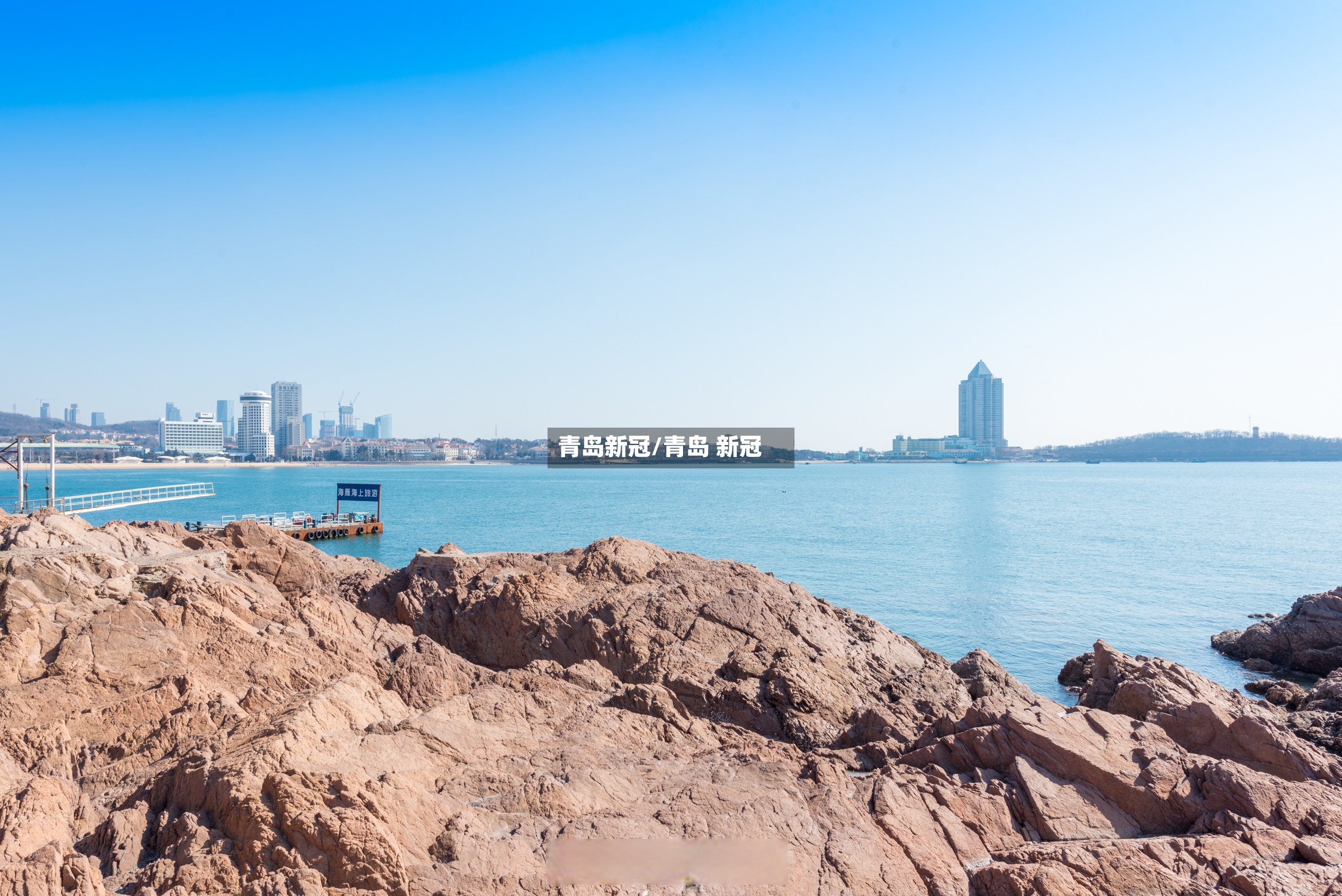 青岛新冠/青岛 新冠-第2张图片