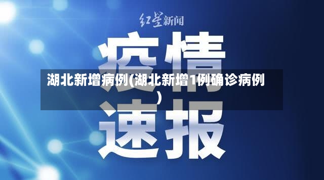 湖北新增病例(湖北新增1例确诊病例)-第2张图片