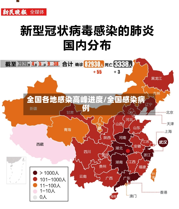全国各地感染高峰进度/全国感染病例