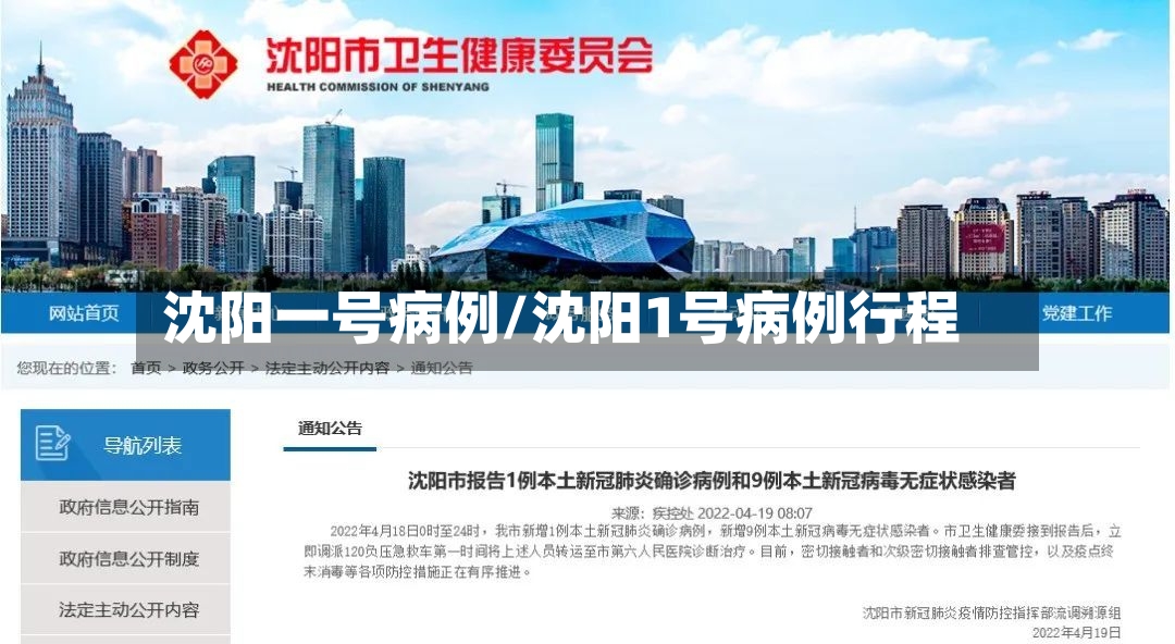 沈阳一号病例/沈阳1号病例行程
