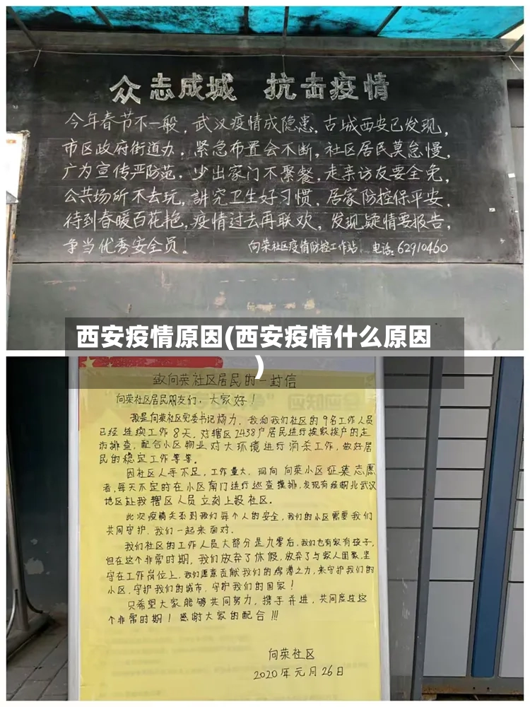 西安疫情原因(西安疫情什么原因)-第3张图片