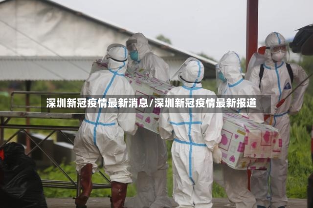 深圳新冠疫情最新消息/深圳新冠疫情最新报道