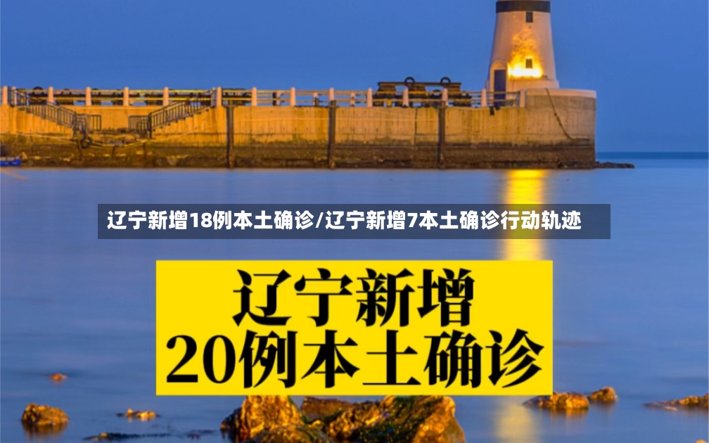 辽宁新增18例本土确诊/辽宁新增7本土确诊行动轨迹