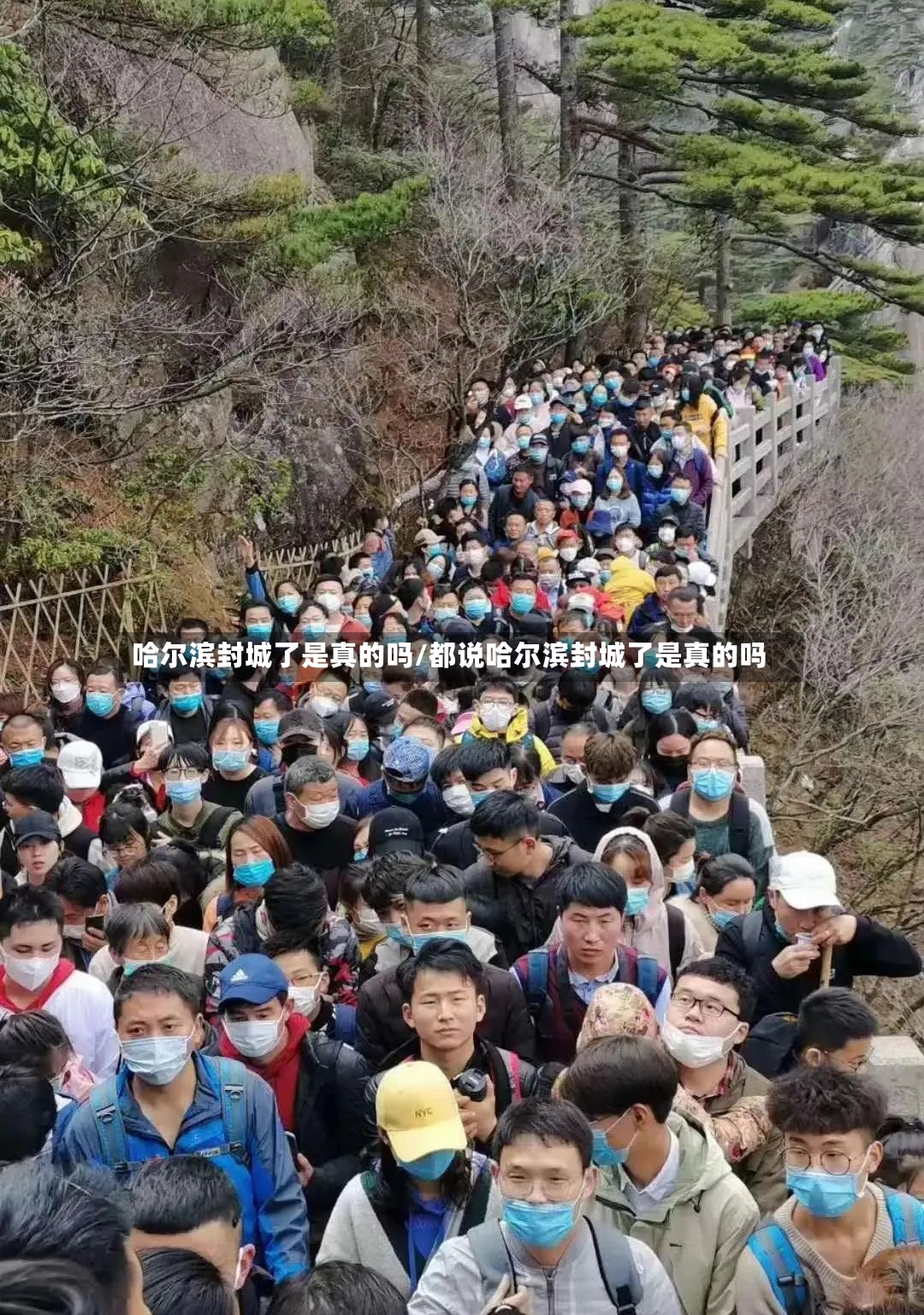 哈尔滨封城了是真的吗/都说哈尔滨封城了是真的吗-第2张图片